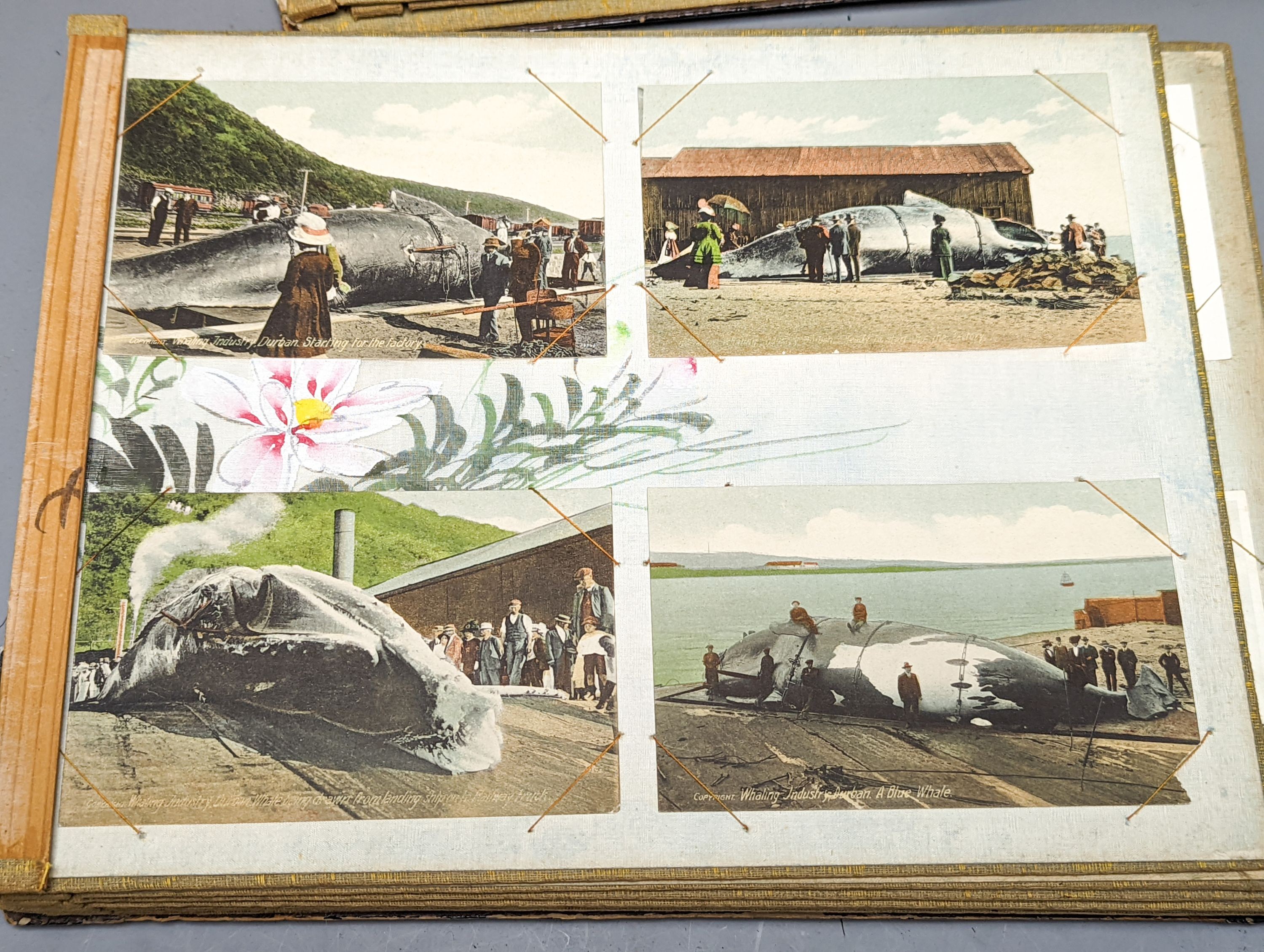 Two early 20th century postcard albums, a photo album and a collection of loose postcards
